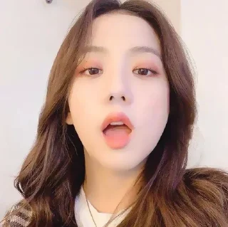 Sticker from ˖ ་.JISOO ! ? ★ ▸ by @lomicor