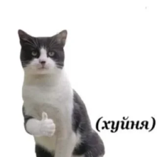 😍 emoji куча г..всего Telegram sticker 6 of 120