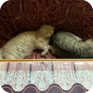 🥱 emoji Манюня Telegram sticker 20 of 29