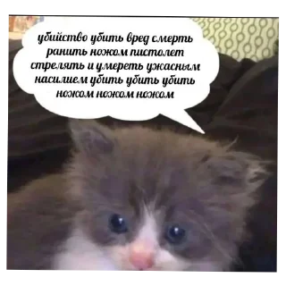 🐱 emoji его разум затуманен мыслями об ультранасилии Telegram sticker 16 of 21