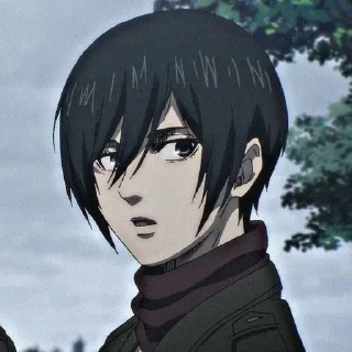 🥀 emoji Mikasa🥀 Telegram sticker 19 of 50
