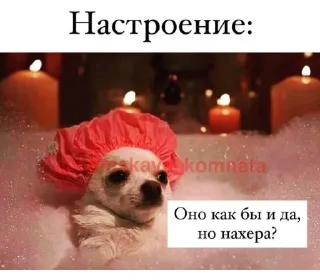 🌚 emoji На случай важных  переговоров Telegram sticker 14 of 79