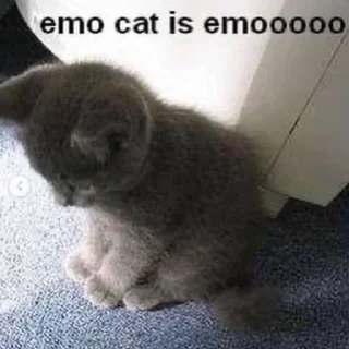 😔 emoji 🇷🇺 Telegram sticker 19 of 109
