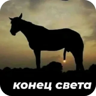 🐎 emoji TS meme Telegram sticker 14 of 61