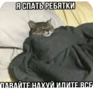 Sticker from TS meme