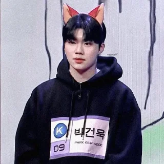 😺 emoji gunwook Telegram sticker 9 of 42