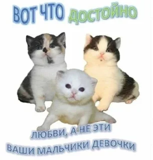 Sticker from злые