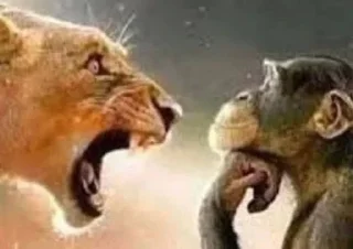 Sticker from nonbinary femcel