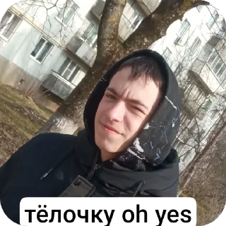 😎 emoji НОСОВСКАЯ SYETA Telegram sticker 24 of 31