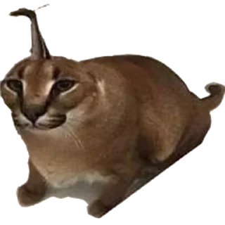 🖕 emoji Большой Шлепа @trafslybot Telegram sticker 12 of 25