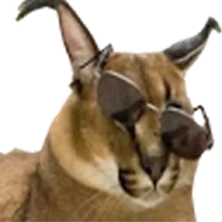 😎 emoji Большой Шлепа @trafslybot Telegram sticker 11 of 25