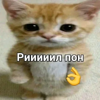 Sticker from Пон