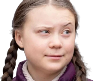 😏 emoji Greta Thunberg Telegram sticker 3 of 33