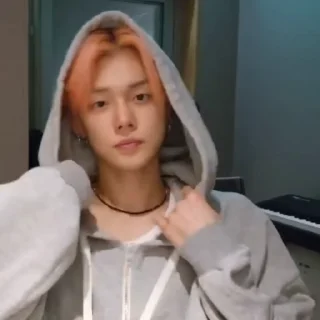 🦊 emoji — yeonjun @arhitxt Telegram sticker 6 of 18