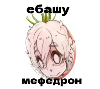 🍅 emoji fdpomidorov Telegram sticker 15 of 15