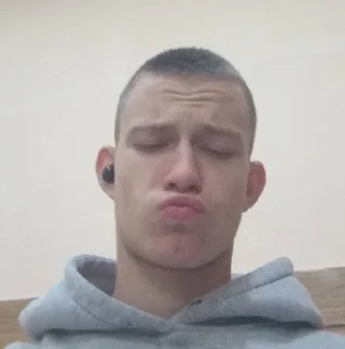 🌟 emoji Пироговы Telegram sticker 13 of 54