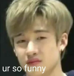 Sticker from StRaY KiDs