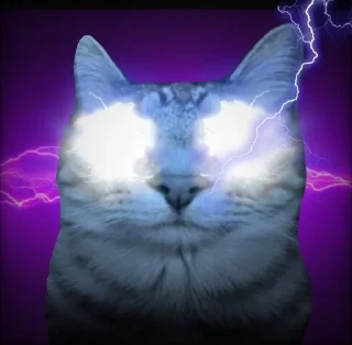 🌟 emoji Кот с пиздатым ебалом Telegram sticker 14 of 21