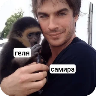 🌟 emoji гелосвин Telegram sticker 7 of 55