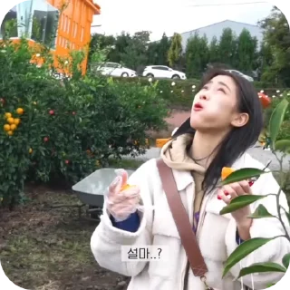 🪻 emoji ryujin🪻@helpfromspraythub Telegram sticker 24 of 45