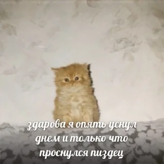 😕 emoji Легенды Гласят... Telegram sticker 22 of 120