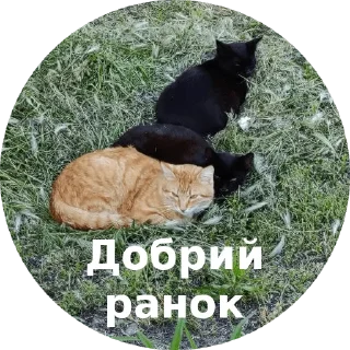 ☀ emoji 3.1415926-121 Telegram sticker 22 of 94