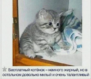 😽 emoji соня иди нахуй Telegram sticker 13 of 83