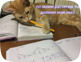 😏 emoji малыха бомба Telegram sticker 19 of 45