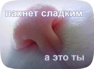 🥰 emoji малыха бомба Telegram sticker 8 of 45
