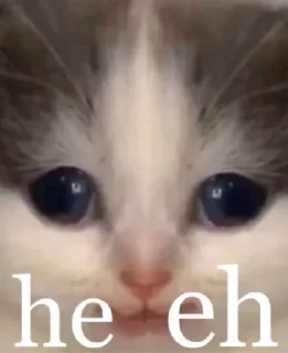 🐈 emoji hehe ultimate @hanatachi Telegram sticker 24 of 35