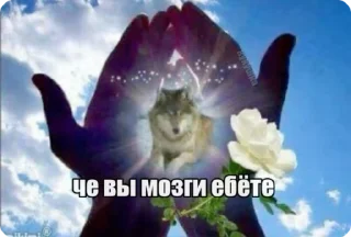 🌟 emoji пикчи с фразами Telegram sticker 21 of 26