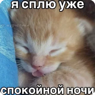 🌟 emoji пикчи с фразами Telegram sticker 15 of 26