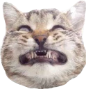 😬 emoji Всратые животные Telegram sticker 23 of 37