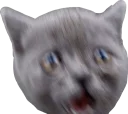 😧 emoji Всратые животные Telegram sticker 22 of 37