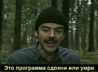 🤦‍♀️ emoji Стикеры от Fish VPN Telegram sticker 22 of 94