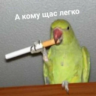 🚬 emoji Хау Ду ю Ду Telegram sticker 19 of 82