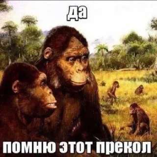 Sticker from в IT и выйти