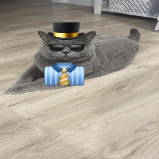 😎 emoji рина крутая Telegram sticker 6 of 11