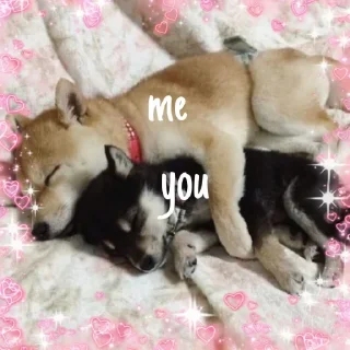 💞 emoji ∪･ｪ･∪  @noona_stickers Telegram sticker 13 of 44