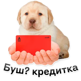 Sticker from ALFA