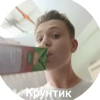 Sticker from Ебало членов «Йомайо»