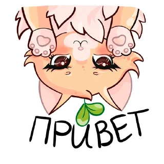 👋 emoji Cute animals VK: ShinyArrowWay Telegram sticker 1 of 24