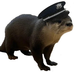 👮‍♂️ emoji @vidromemi Часть 3 - ВыдроПокалипсис Telegram sticker 19 of 120