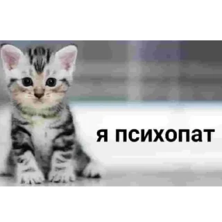 Sticker from Keppi ебёт мозг