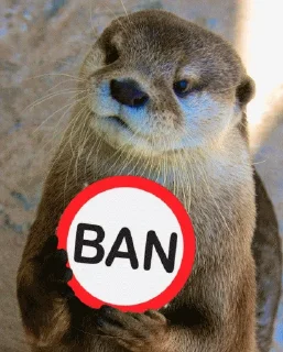 🛑 emoji @vidromemi Часть 3 - ВыдроПокалипсис Telegram sticker 10 of 120