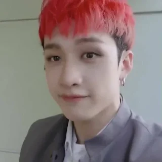 🙃 emoji Стрей кидсы Telegram sticker 21 of 21
