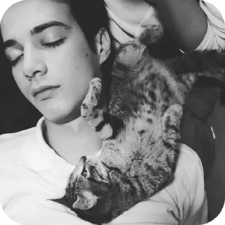 👍 emoji ашком @my_yigit_mert Telegram sticker 14 of 117