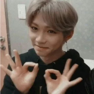 👌 emoji stray kids Telegram sticker 24 of 120