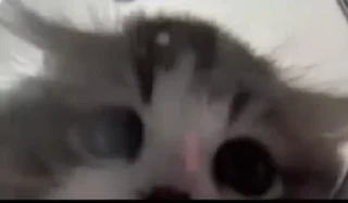😋 emoji Владислав одобряет Telegram sticker 20 of 22