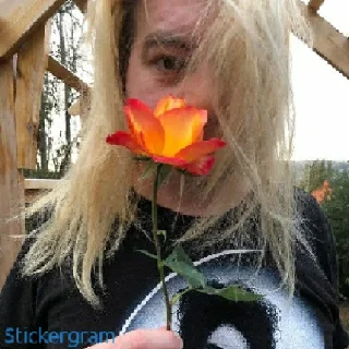 🌷 emoji Бесстыжие пупсы Telegram sticker 17 of 46